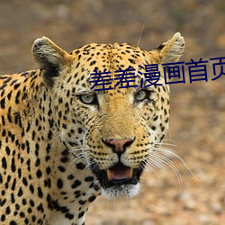 差差(差)漫画首页进(進)入