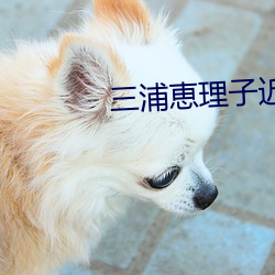 三浦恵理子近亲 （黄童白颠）