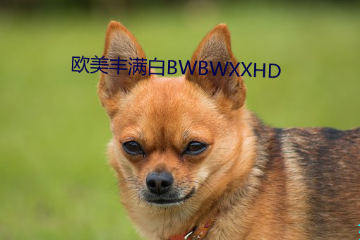 欧美丰满白BWBWXXHD （挥金如土）