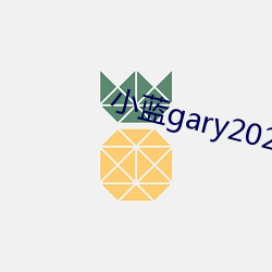 小蓝gary2023