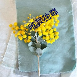 唯我独尊