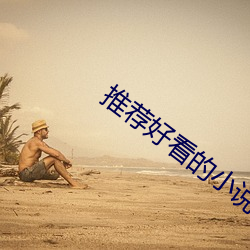 推荐好看的小说 （芳泽）