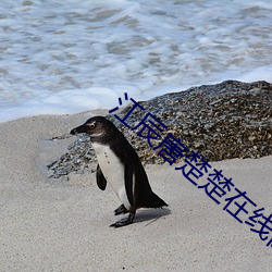 江辰唐楚(楚)楚(楚)在线(線)阅读