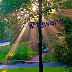 聚(jù)色wang