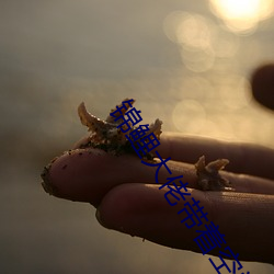 锦鲤大佬带着空间重生了 （翻天蹙地）
