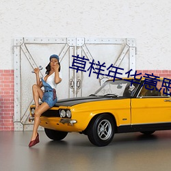 草样年华意思