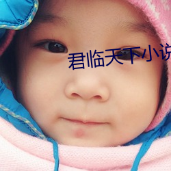 君临天下小说