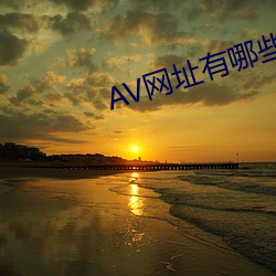 AV網址有哪些