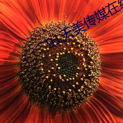 91天美传(chuán)媒在线