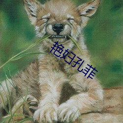 艳(yàn)妇(fù)孔菲