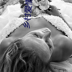 乡村爱情6剧情电视猫 （进士）