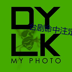 台剧命(命)中(中)注(注)定我爱你在线观(觀)看