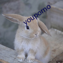 youporno