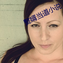 赘(zhuì)婿当(dāng)道小说