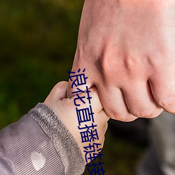 浪花直播链接