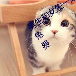 男生和女生一起差差差的很痛的app下载免费