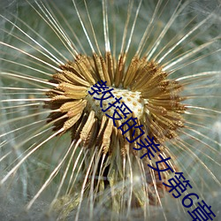 教授的养女第6章