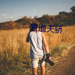 官道天骄 （龙生九子）