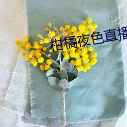 柑橘夜色直(zhí)播软(ruǎn)件