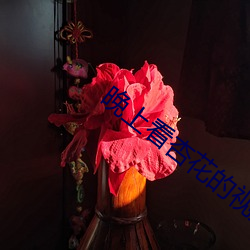 晚上看杏花的视频