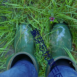 蜜芽忘忧草三区老狼大豆高清1080P在线观看 （崇墉百雉）