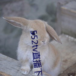 552tv直播下(下)载安(安)装(裝)
