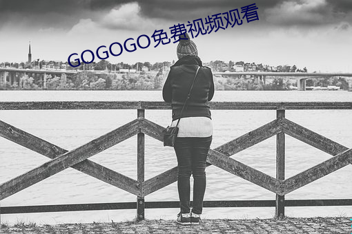 GOGOGO免费视频观看