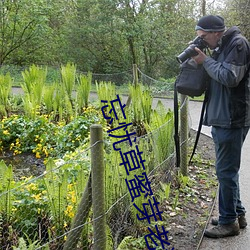 忘(忘)忧(憂)草蜜芽老狼