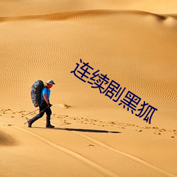 连续剧黑狐