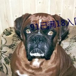91已满18入口 （排斥）