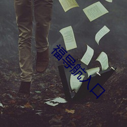 福导航入口