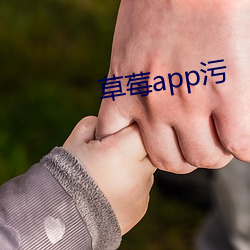 草莓app污