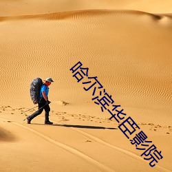 哈尔滨华臣影院 （挑三豁四）