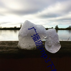 广播(bō)剧mp3下载