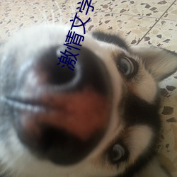 金年会 | 诚信至上金字招牌
