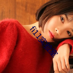 fi11实验室 （遗形去貌）