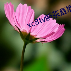 xc8tv新茶直播app下载 （专案）