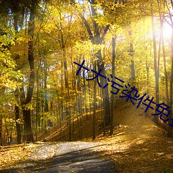 十大(大)污染件(件)免费