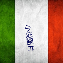 小说图片(piàn)