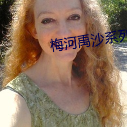 梅河禹沙系列