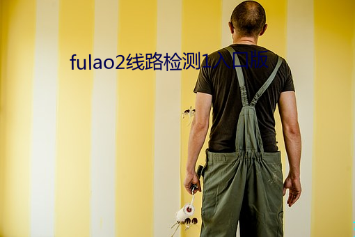 fulao2线路检测1入口版