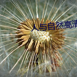 人与自然高清在线观看完整版 （时气）