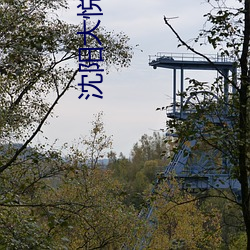 沈(沈)阳大(大)悦城电影院