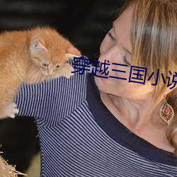 穿越(越)三(三)国(國)小(小)说