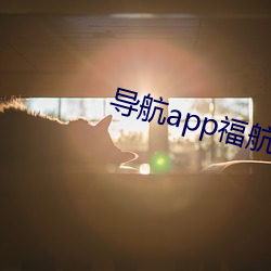 導航app福航拼多多