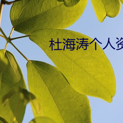 凯时|AG(AsiaGaming)优质运营商