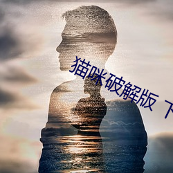 貓咪破解版 下載