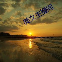 美女主(zhǔ)播间