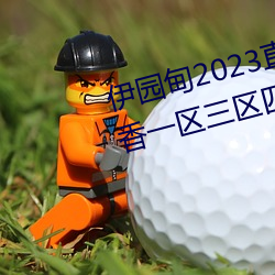 伊园(園)甸(甸)2023直达入口(口)音响国色天香一区三区四区