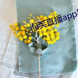 泡芙直播app導航